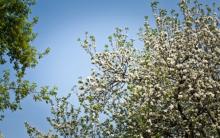 1 мая в Перовском парке :: Афиша :: Мосгорпарк