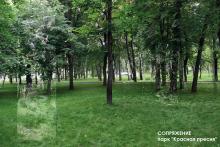 Инсталляция художника Димы Филиппова :: Афиша :: Мосгорпарк