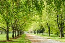 «Чистый парк — чистый город!» :: Афиша :: Мосгорпарк