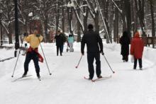 Лыжные трассы в парке «Измайловский» :: Афиша :: Мосгорпарк