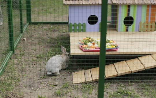 День заповедников и национальных парков :: Афиша :: Мосгорпарк