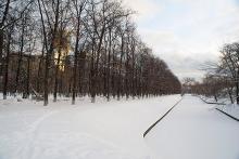 «Тропа здоровья» в парке «Красная Пресня» :: Афиша :: Мосгорпарк