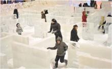 Детский ледяной лабиринт :: Афиша :: Мосгорпарк