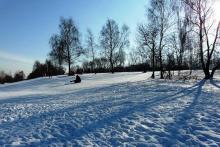 Лыжня в парке «Северное Тушино» :: Афиша :: Мосгорпарк