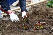 «Чистый парк» :: Афиша :: Мосгорпарк